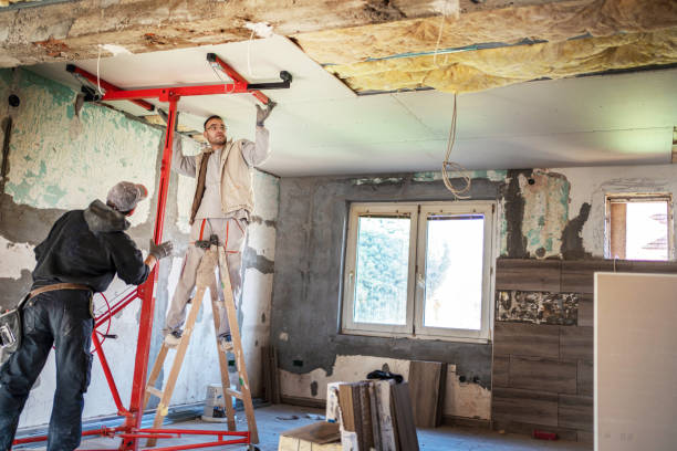 Best Residential Insulation in Dland, MI