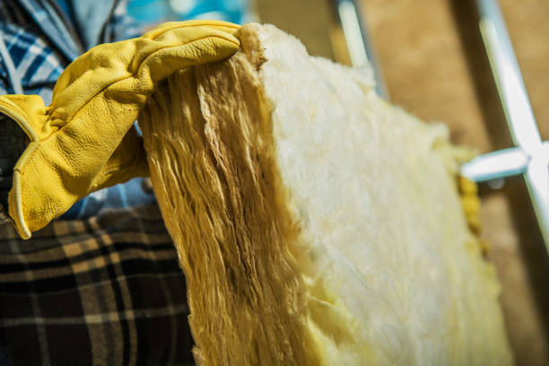 Best Insulation for Specific Applications in Dland, MI