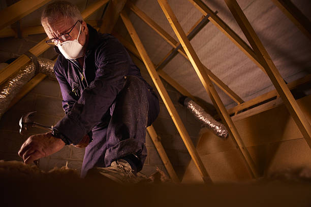  Dland, MI Insulation Contractor Pros
